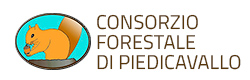 Consorzio forestale